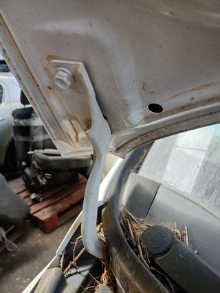 BISAGRA CAPO DERECHA KIA CARENS (RP)