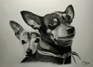 Retratos por navidad