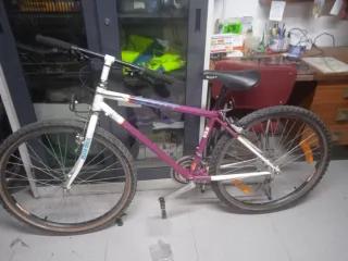 Bicicleta Zeus Clásica