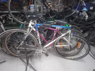 Bicicleta Zeus Clásica