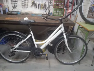 Bicicleta Zeus Clásica