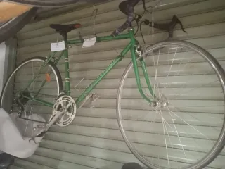 Bicicleta Zeus Clásica