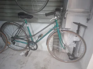 Bicicleta Zeus Clásica