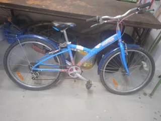 Bicicleta Zeus Clásica