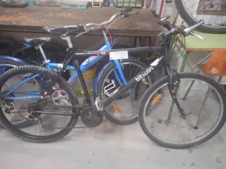Bicicleta Zeus Clásica