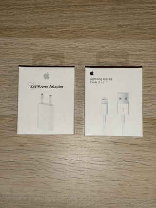 Caricatore iPhone + Cavo Usb-Lightning Originale