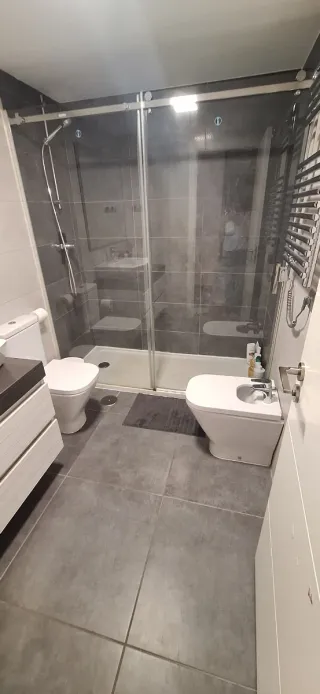 Limpiadores profesionales