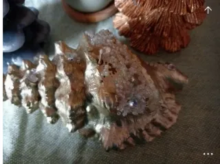 Candele Natalizie Albero e Conchiglia