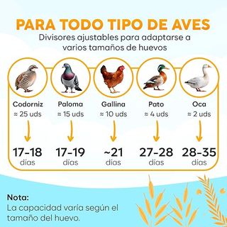 OKKÖBI Incubadora 12 Huevos Automática Azul