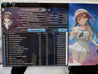 Lotto 2 SSD Crucial BX500 500GB