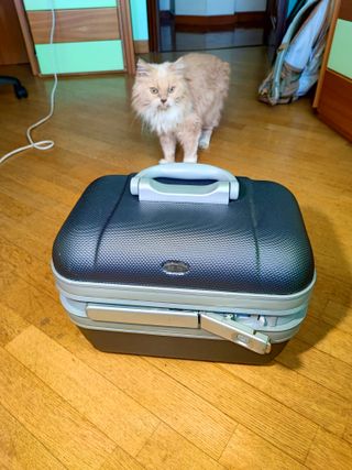 BEAUTY CASE VALIGETTA BRICS con CHIAVE GRIGIO Beau