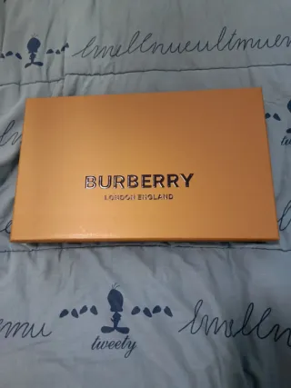 Sciarpa Burberry in cashmere nuova