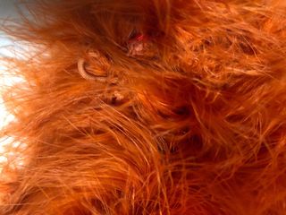 Estola plumas auténticas Zara naranja sin estrenar