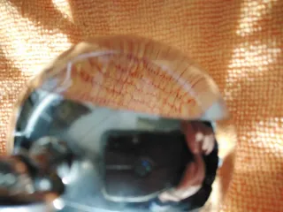 Reloj Tissot Cuerda Sobremesa