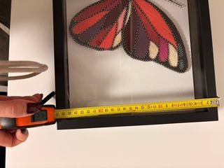 quadro da tavolo o da appendere con farfalla