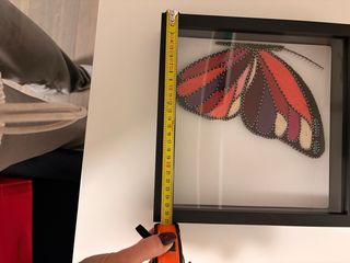 quadro da tavolo o da appendere con farfalla