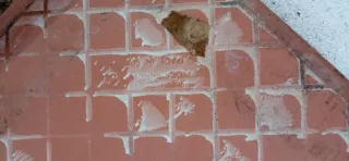 Suelo exterior baldosas