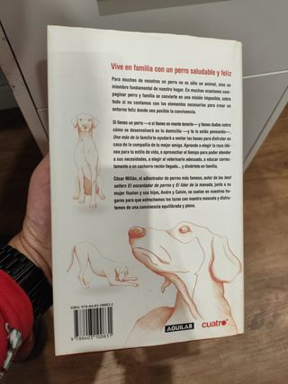 Uno más de la familia: Claves para una buena co...