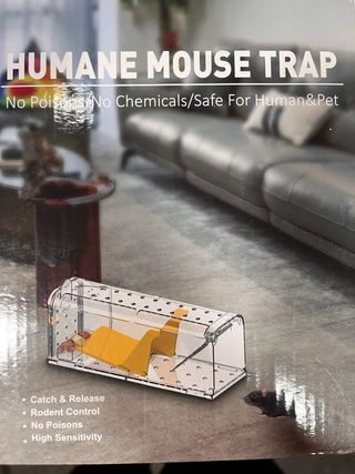 4 Trampas Humanas para Ratones