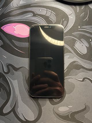 iPhone 12 Pro 256GB