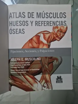 Atlas de músculos, huesos y referencias óseas f...