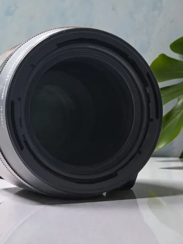 GARANTIA Sigma 105mm F2.8 DG DN Macro Art Sony E