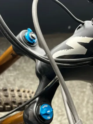 Bicicleta Montaña Eléctrica Specialized