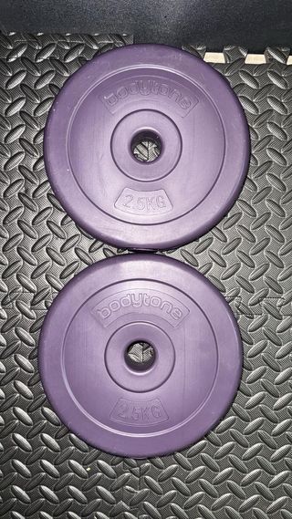Pareja Discos Bodytone 2.5 Kg Morado