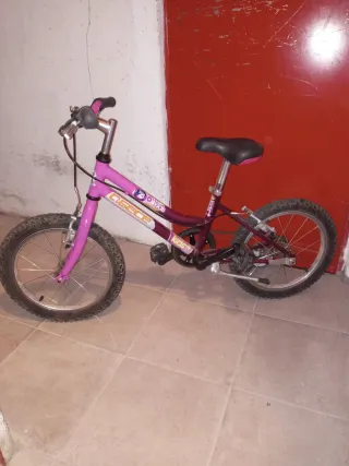 Bicicleta infantil morada