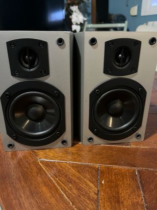 Pareja Altavoces Denon Gris