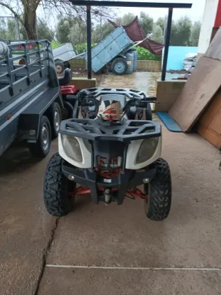 Quad Kayo AU 200 Despiece o cambio