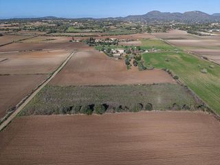 Terreno en venta en Sant Llorenç des Cardassar