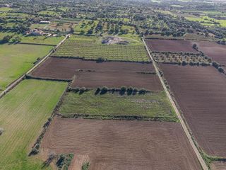Terreno en venta en Sant Llorenç des Cardassar