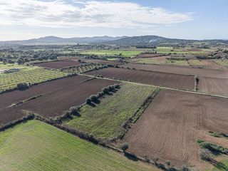 Terreno en venta en Sant Llorenç des Cardassar