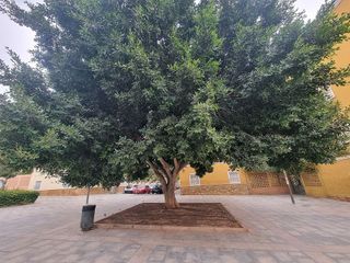 Piso en venta en Plaza de Toros - Santa Rita en Almería