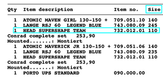 Bastones Esquí Head Supershape Team 110cm