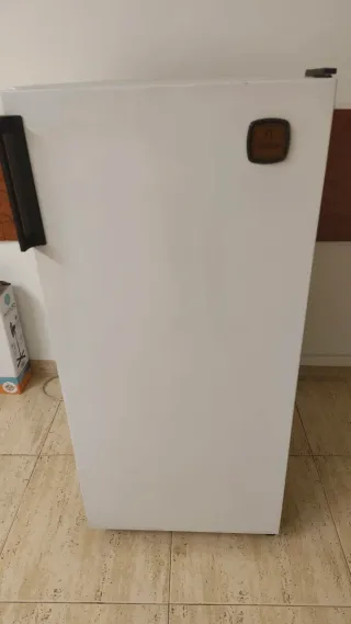 Nevera pequeña Festor para oficina