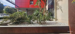 Piso en venta en Pabellón - Estación - El Corte Inglés en Ejido (El)