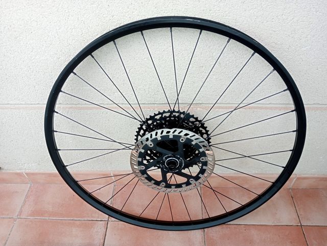 rueda 29 ebike bosst enduro, descenso. Rueda