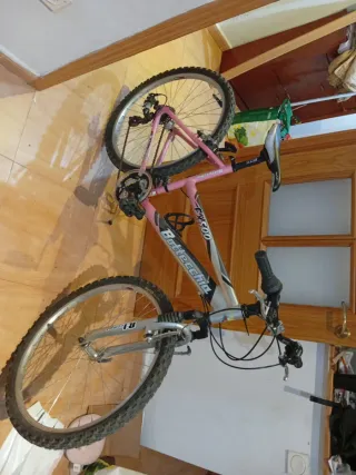 Bicicleta de montaña Bottecch