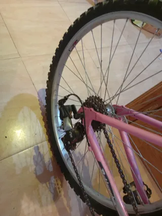 Bicicleta de montaña Bottecch