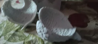 Dos Joyeros Alas de Ángel