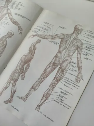 Lote libros de dibujo