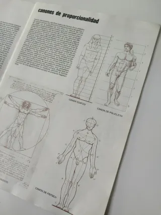 Lote libros de dibujo