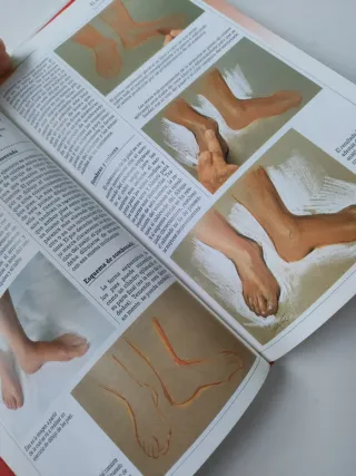 Lote libros de dibujo