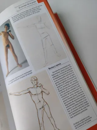 Lote libros de dibujo