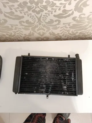 Radiador Aprilia RS 125