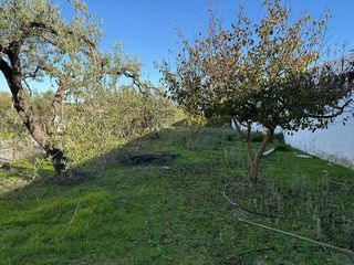 Terreno en venta en Salteras