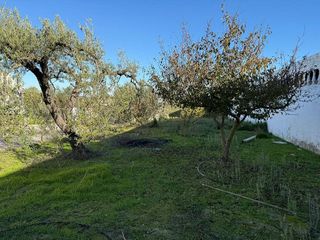 Terreno en venta en Salteras