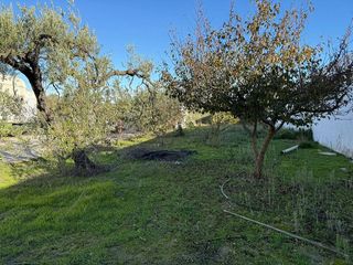 Terreno en venta en Salteras